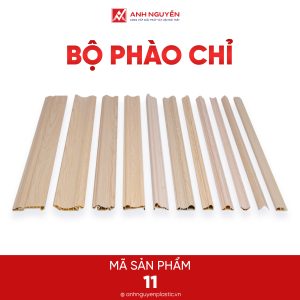 Bộ phào chỉ 11