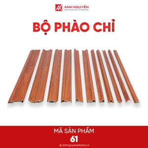 Bộ phào chỉ 61