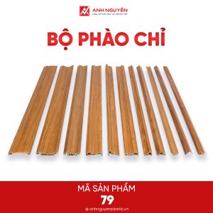 Bộ phào chỉ 79