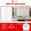 Tấm Ốp Hèm Khóa ATT-39