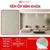 Tấm ốp hèm khóa ATT-81