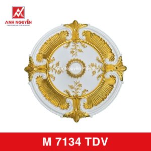 M 7134 TDV