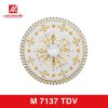 M 7137 TDV