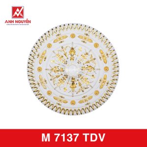 M 7137 TDV