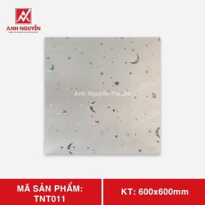 TNT 011