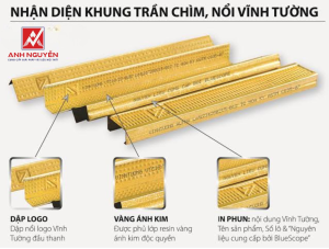 Khung xương Vĩnh Tường