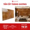 Tấm ốp tráng gương - TN01