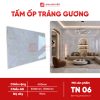 Tấm ốp tráng gương - TN06