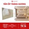Tấm ốp tráng gương - TN16